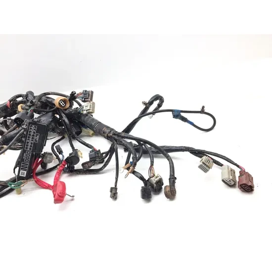 Honda 2020 Pioneer 1000-5 SXS1000M5 Deluxe Main Engine Wiring Harness 3420 3