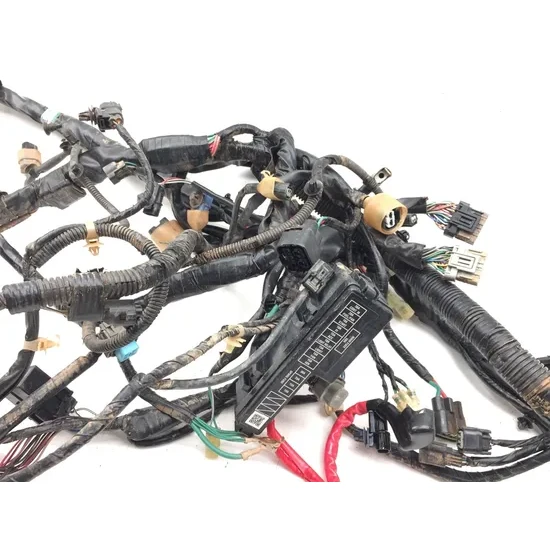 Honda 2020 Pioneer 1000-5 SXS1000M5 Deluxe Main Engine Wiring Harness 3420 4