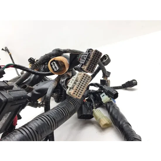 Honda 2020 Pioneer 1000-5 SXS1000M5 Deluxe Main Engine Wiring Harness 3420 6