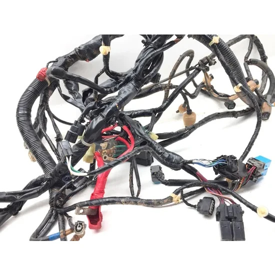 Honda 2020 Pioneer 1000-5 SXS1000M5 Deluxe Main Engine Wiring Harness 3420 8