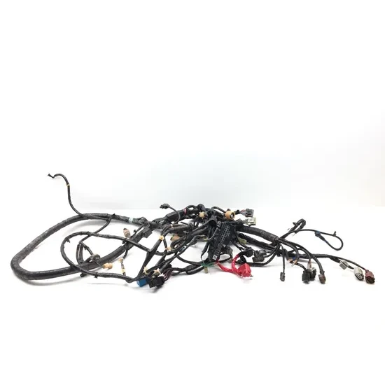 Honda 2020 Pioneer 1000-5 SXS1000M5 Deluxe Main Engine Wiring Harness 3420