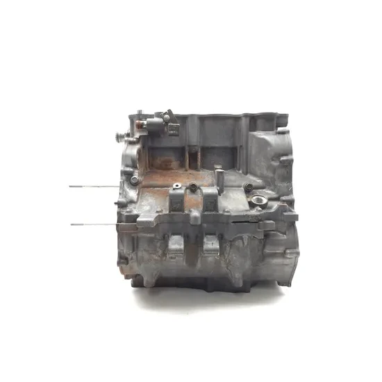 Honda 2020 Pioneer 1000-5 Deluxe Engine Left Right Center Cases Case 3420 4