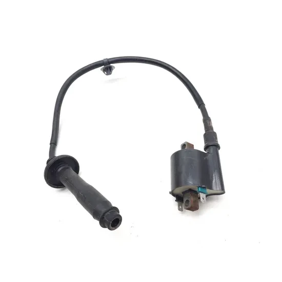 Honda 2020 Pioneer 1000-5 SXS1000M5 Deluxe Ignition Coil 3420  30510-HL4-A01 4
