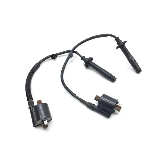 Honda 2020 Pioneer 1000-5 SXS1000M5 Deluxe Ignition Coil 3420  30510-HL4-A01 1