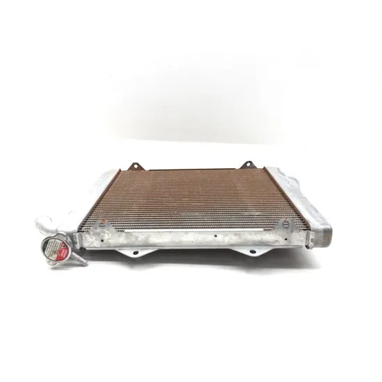 Honda 2020 Pioneer 1000-5 SXS1000M5 Deluxe Engine Radiator Cooling 3420 6