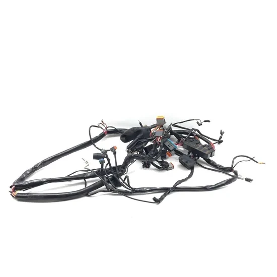 Harley 2001 Electra Glide Classic EFI FLHTCI Main Engine Wiring Harness 3433 5
