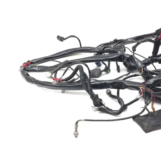 Harley 2001 Electra Glide Classic EFI FLHTCI Main Engine Wiring Harness 3433 2