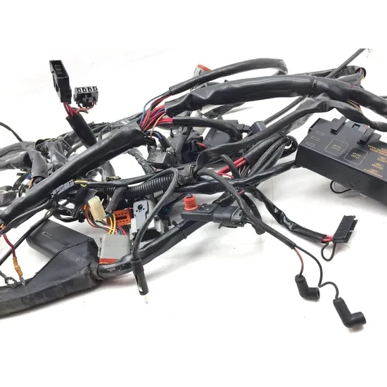 Harley 2001 Electra Glide Classic EFI FLHTCI Main Engine Wiring Harness 3433 3