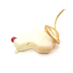 Polaris 2016 RZR S 1000 EPS Engine Radiator Overflow Tank 3432 5439202