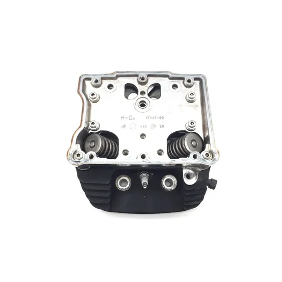 Harley 2001 Heritage Softail EFI Engine Cylinder Head Complete Front 3435 x 5