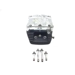 Harley 2001 Heritage Softail EFI Engine Cylinder Head Complete Front 3435 x