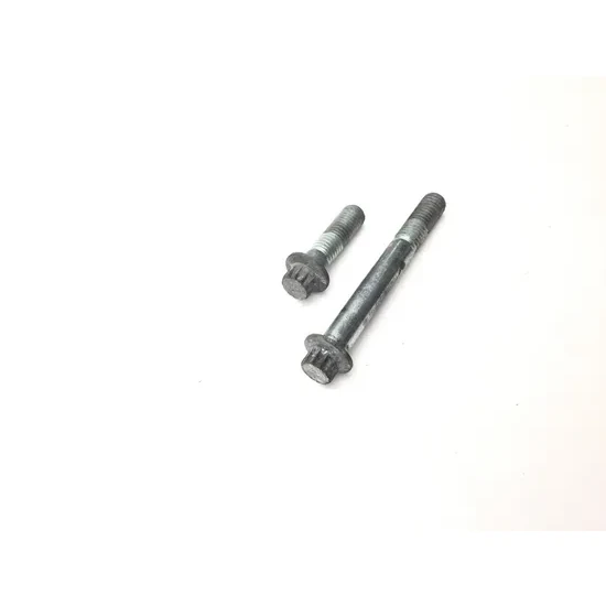 Harley 2001 Heritage Softail Classic EFI Front Brake Caliper Mounting Bolts 3435 3