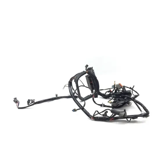 Harley-Davidson 2001 Heritage Softail EFI Main Engine Wiring Harness 3435 5