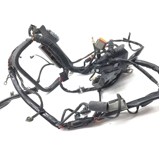 Harley-Davidson 2001 Heritage Softail EFI Main Engine Wiring Harness 3435 6