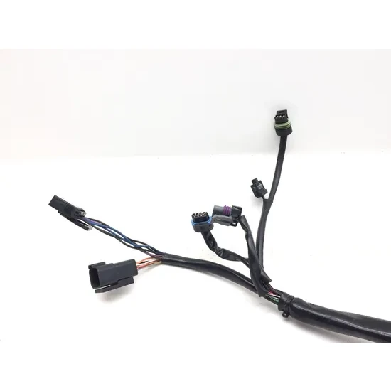 Harley-Davidson 2001 Heritage Softail EFI Main Engine Wiring Harness 3435 2