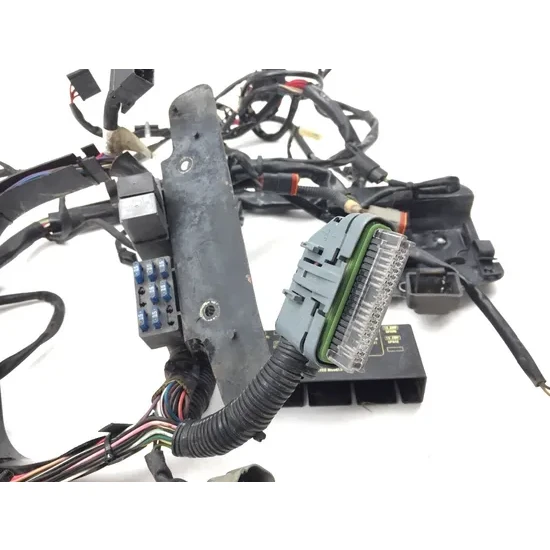 Harley-Davidson 2001 Heritage Softail EFI Main Engine Wiring Harness 3435 3