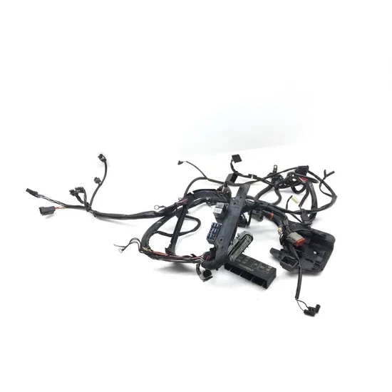Harley-Davidson 2001 Heritage Softail EFI Main Engine Wiring Harness 3435 1