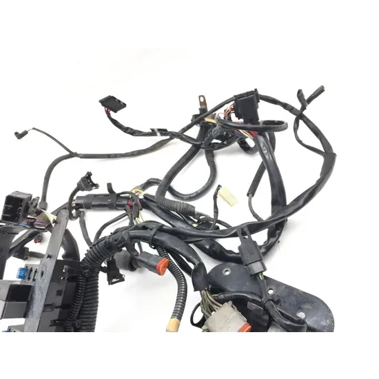 Harley-Davidson 2001 Heritage Softail EFI Main Engine Wiring Harness 3435 4