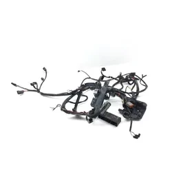 Harley-Davidson 2001 Heritage Softail EFI Main Engine Wiring Harness 3435