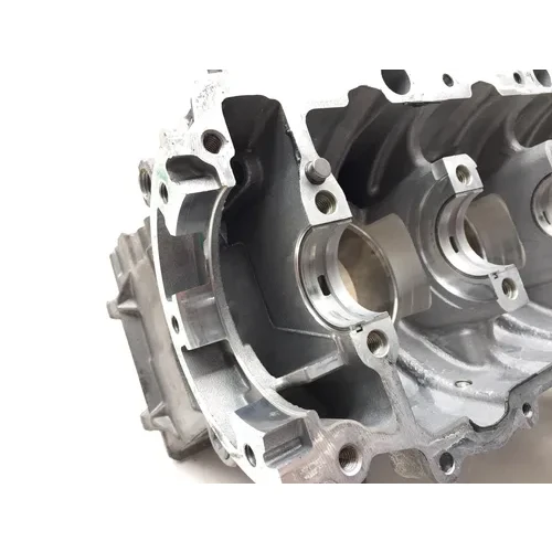 Can-Am 2022 Ryker 900 Sport ACE Engine Left Right Center Cases 3434 420894024 5