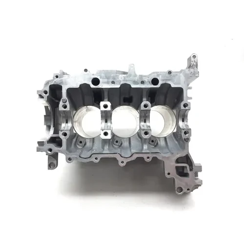 Can-Am 2022 Ryker 900 Sport ACE Engine Left Right Center Cases 3434 420894024 6