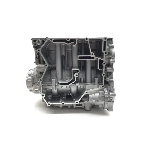 Can-Am 2022 Ryker 900 Sport ACE Engine Left Right Center Cases 3434 420894024 12