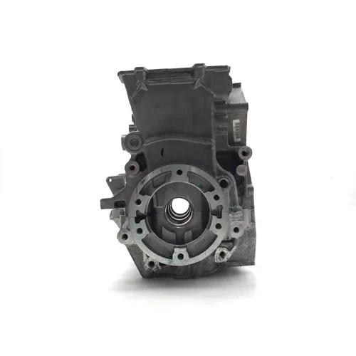 Can-Am 2022 Ryker 900 Sport ACE Engine Left Right Center Cases 3434 420894024 9