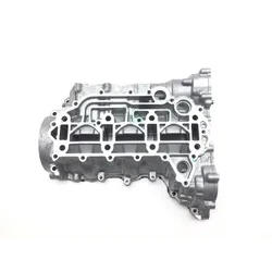 Can-Am 2022 Ryker 900 Sport ACE Engine Left Right Center Cases 3434 420894024