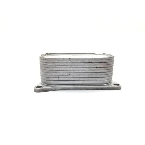Can-Am 2022 Ryker 900 Sport ACE Engine Oil Cooler 3434 420656698 5