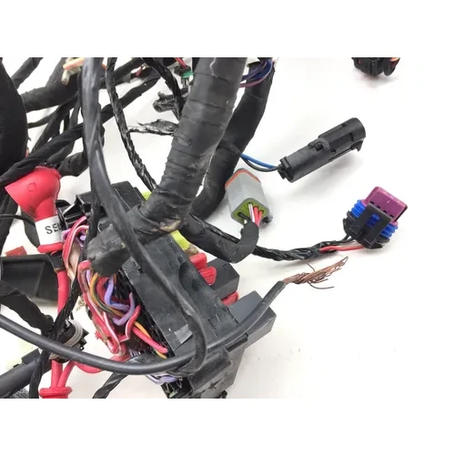 Can-Am 2022 Ryker 900 Sport ACE Main Engine Wiring Harness 3434 PARTS 4