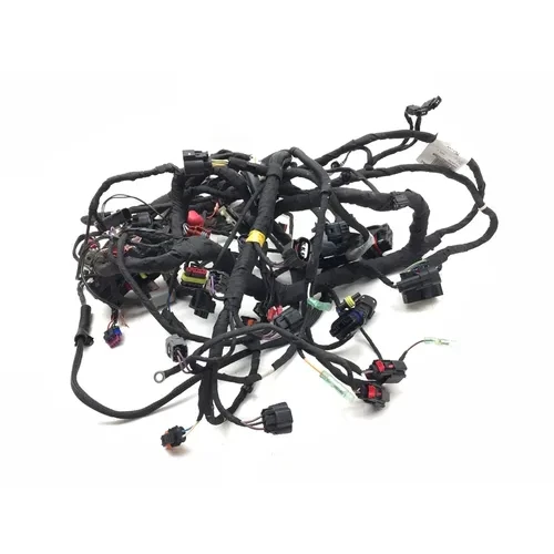 Can-Am 2022 Ryker 900 Sport ACE Main Engine Wiring Harness 3434 PARTS 6
