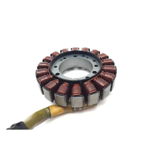 Polaris 2018 RZR S 900 Engine Stator Generator 3438  4014406 4