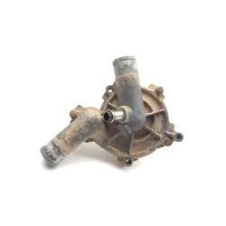 Polaris 2018 RZR S 900 Engine Water Pump Assembly 3438 1205015