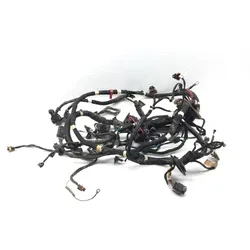 Polaris 2020 RZR XP 1000 EPS Main Engine Wiring Harness 3439  2414467