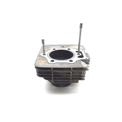 Honda 2000 Foreman 450 TRX450ES 4x4 ES Engine Cylinder Jug 3441 x 12100-HN0-A00
