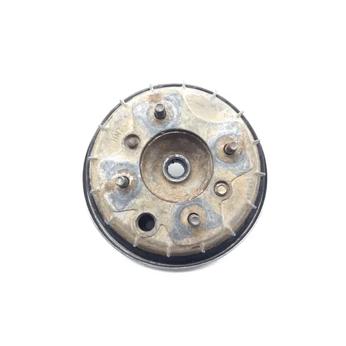 Honda 2000 Foreman 450 TRX450ES 4x4 Front Drum Brake Backing Complete Right 3441 5