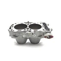Polaris 2019 RZR XP Turbo EPS Engine Cylinder Jug 3440  3023035