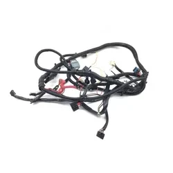 Polaris 2003 Magnum 330 4X4 Main Engine Wiring Harness 3442 2461049, 2461050