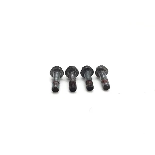 Honda 2001 CBR929RR Front Brake Caliper Mounting Bolts 3443 2