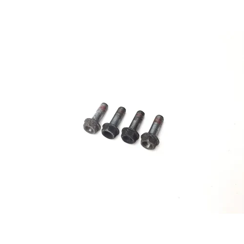 Honda 2001 CBR929RR Front Brake Caliper Mounting Bolts 3443 3