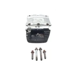 Harley 2000 Electra Glide Classic EFI Engine Cylinder Head Complete Rear 3444 x