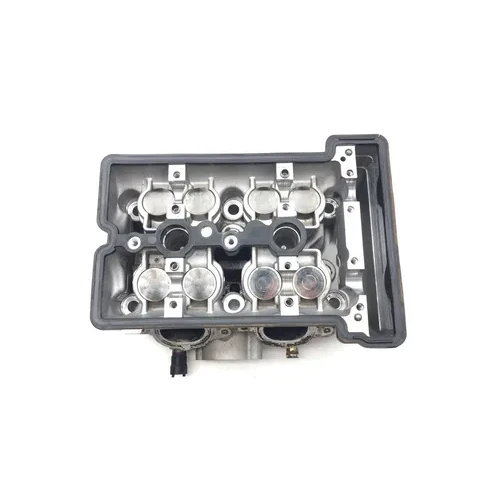 Polaris 2018 RZR S 900 EPS Engine Cylinder Head Complete W Valves 3445  3022798 3
