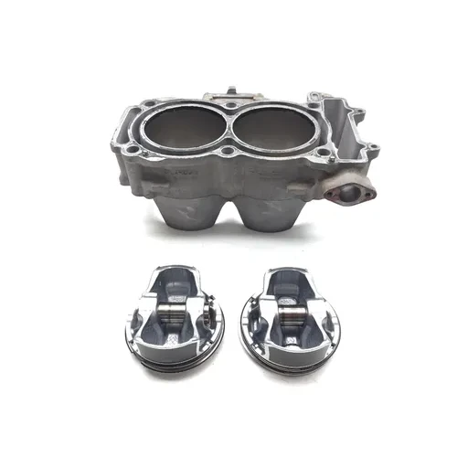 Polaris 2018 RZR S 900 EPS Engine Cylinder Jug W Piston 3445  2205244, 3023155 1