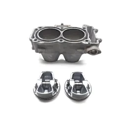 Polaris 2018 RZR S 900 EPS Engine Cylinder Jug W Piston 3445  2205244, 3023155