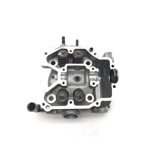 Kawasaki 2009 Teryx 750 KRF750LA FI Cylinder Head Complete W Valves Front 3447 4