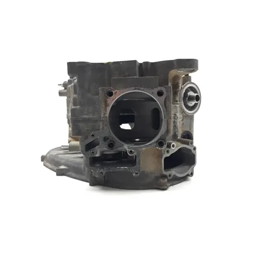 Kawasaki 2009 Teryx 750 KRF750LA FI Engine Left Right Center Cases Case 3447 10