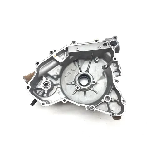 Kawasaki 2009 Teryx 750 KRF750LA FI Engine Stator Generator Cover 3447 7