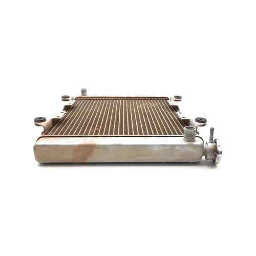 Kawasaki 2009 Teryx 750 KRF750LA FI Engine Radiator Cooling 3447 x 39061-0173 6
