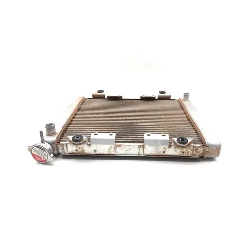 Kawasaki 2009 Teryx 750 KRF750LA FI Engine Radiator Cooling 3447 x 39061-0173 3