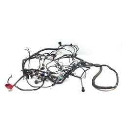 Kawasaki 2009 Teryx 750 KRF750LA FI Main Engine Wiring Harness 3447 26031-0781